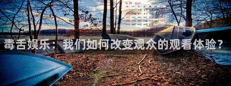 门徒娱乐app官方版下载：毒舌娱乐：我们如何改变观众的观看体验？