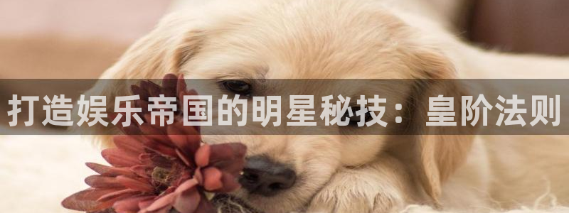 门徒娱乐彩票最新官网：打造娱乐帝国的明星秘技：皇阶法则