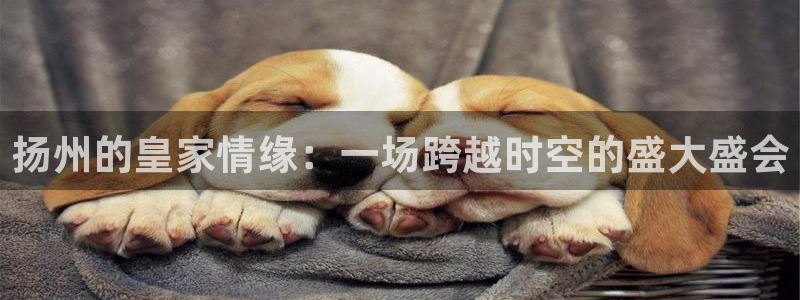 门徒平台注册中心：扬州的皇家情缘：一场跨越时空的盛大盛会