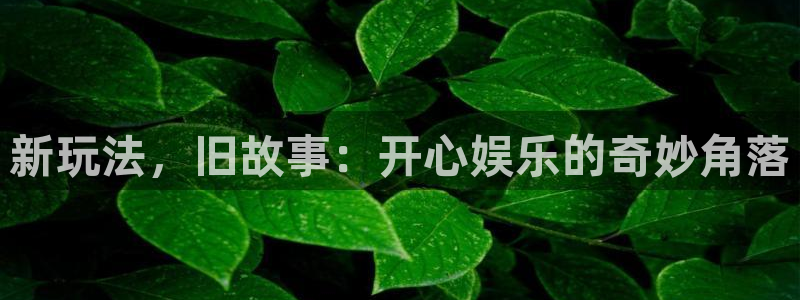 在线看门徒平台：新玩法，旧故事：开心娱乐的奇妙角落