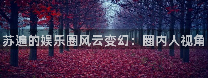 门徒平台登录地址：苏遍的娱乐圈风云变幻：圈内人视角