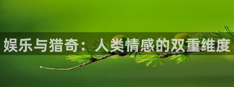 门徒平台注册中心：娱乐与猎奇：人类情感的双重维度