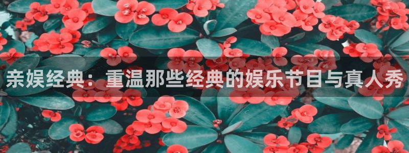 门徒娱乐官网首页：亲娱经典：重温那些经典的娱乐节目与真人秀