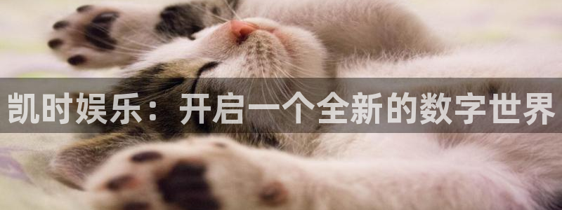 门徒娱乐彩票最新官网：凯时娱乐：开启一个全新的数字世界